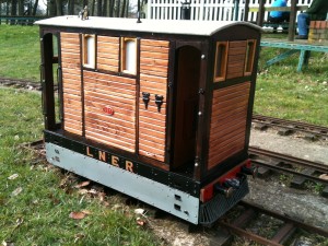 Basking in the sun 2013